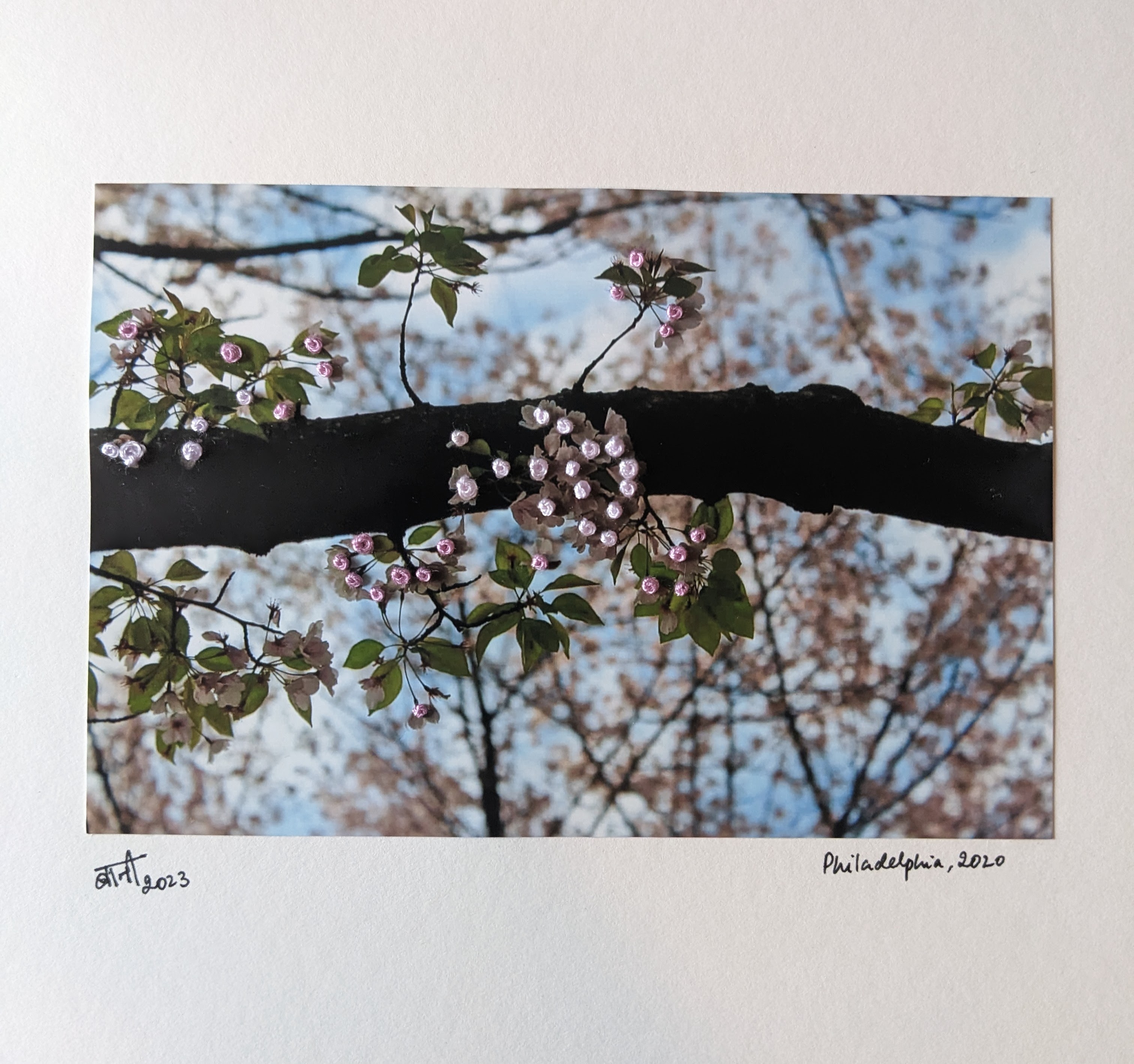 Photo embroidery on a cherryblossom photo using threads